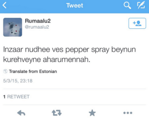 Sentiments of a government supporter; their government doesn't have to warn protestors before pepper spraying!